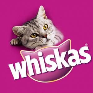 Whiskasss